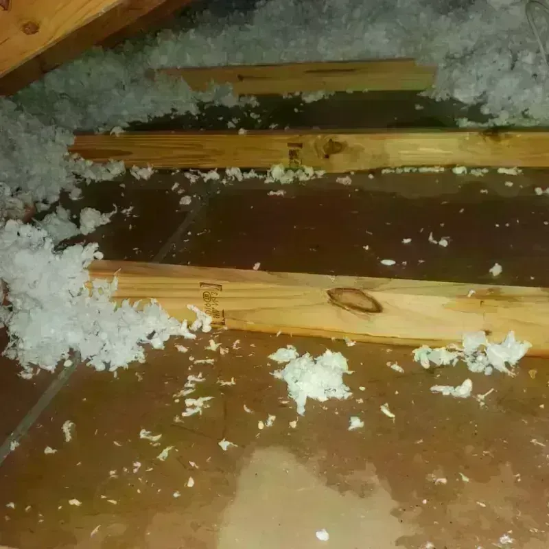 Attic Water Damage in Custer, SD